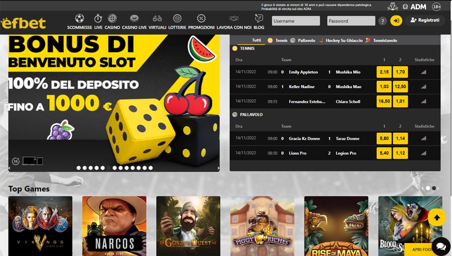screenshot homepage efbet